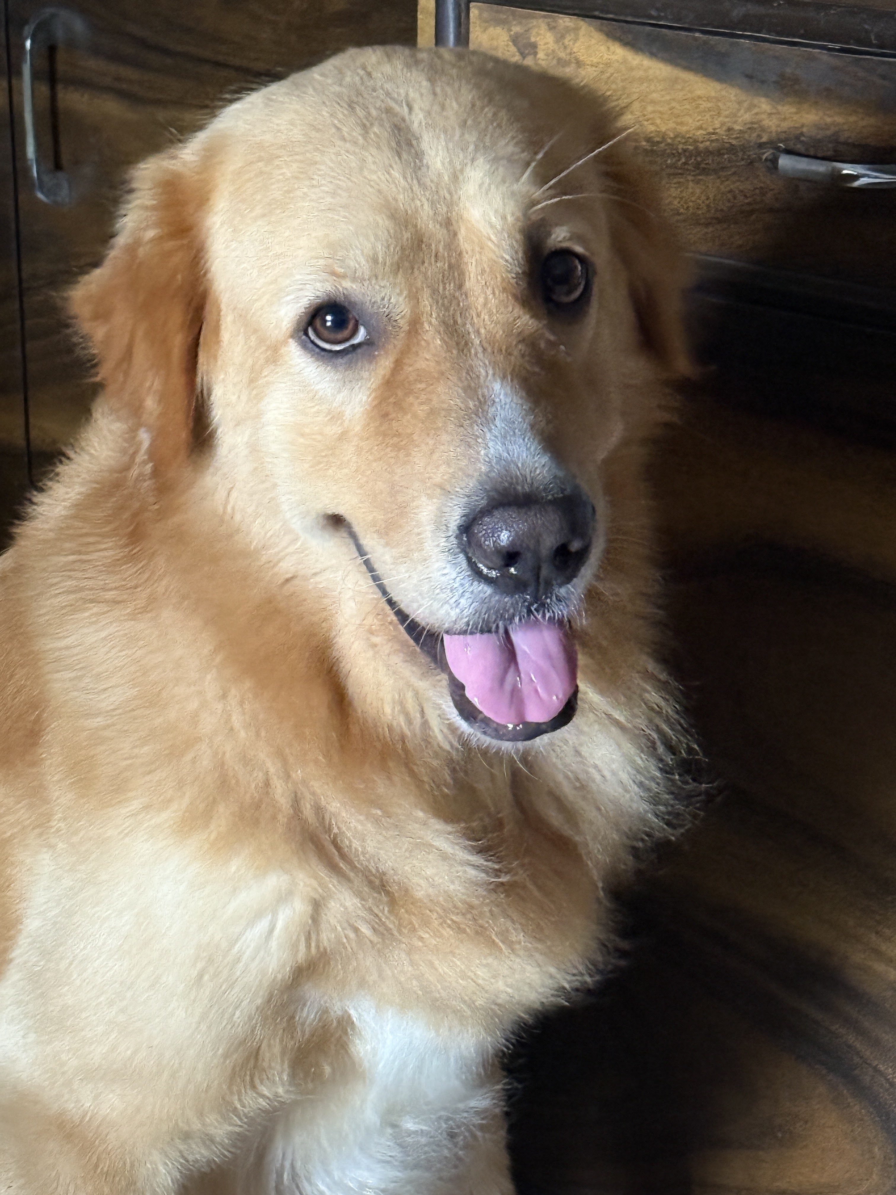 Kiba